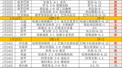 云端之巅：镰田大地未来路在何方？水晶宫未续约，今夏转会疑云笼罩！